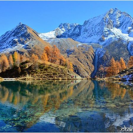 Hotel Pension Du Lac Bleu La Gouille Esterno foto