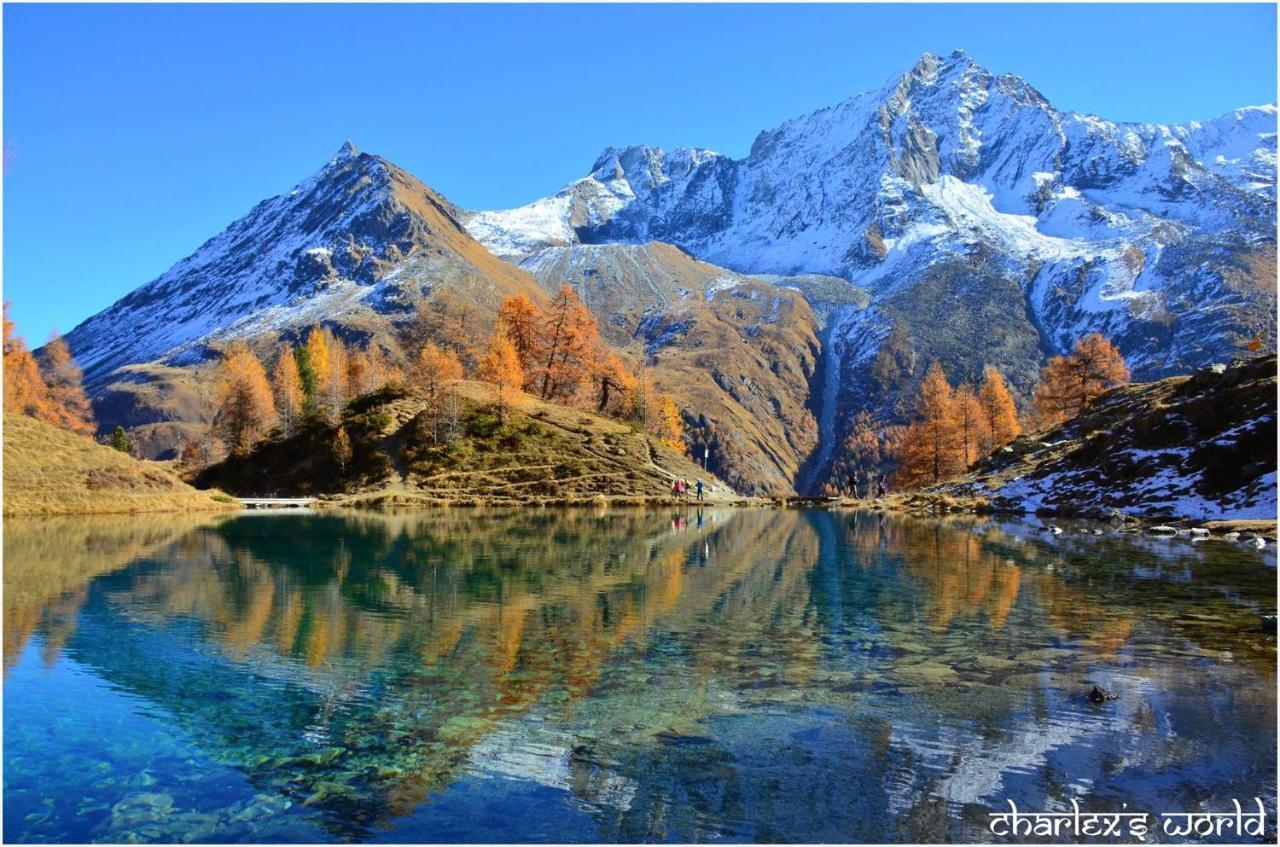 Hotel Pension Du Lac Bleu La Gouille Esterno foto